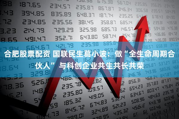 合肥股票配资 国联民生葛小波：做“全生命周期合伙人” 与科创企业共生共长共荣